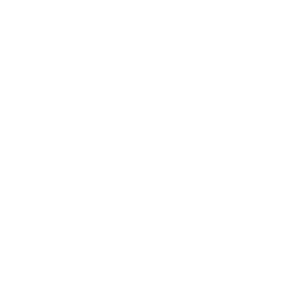 WDO logo