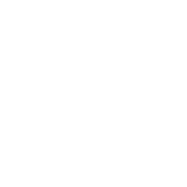 X Shore logo
