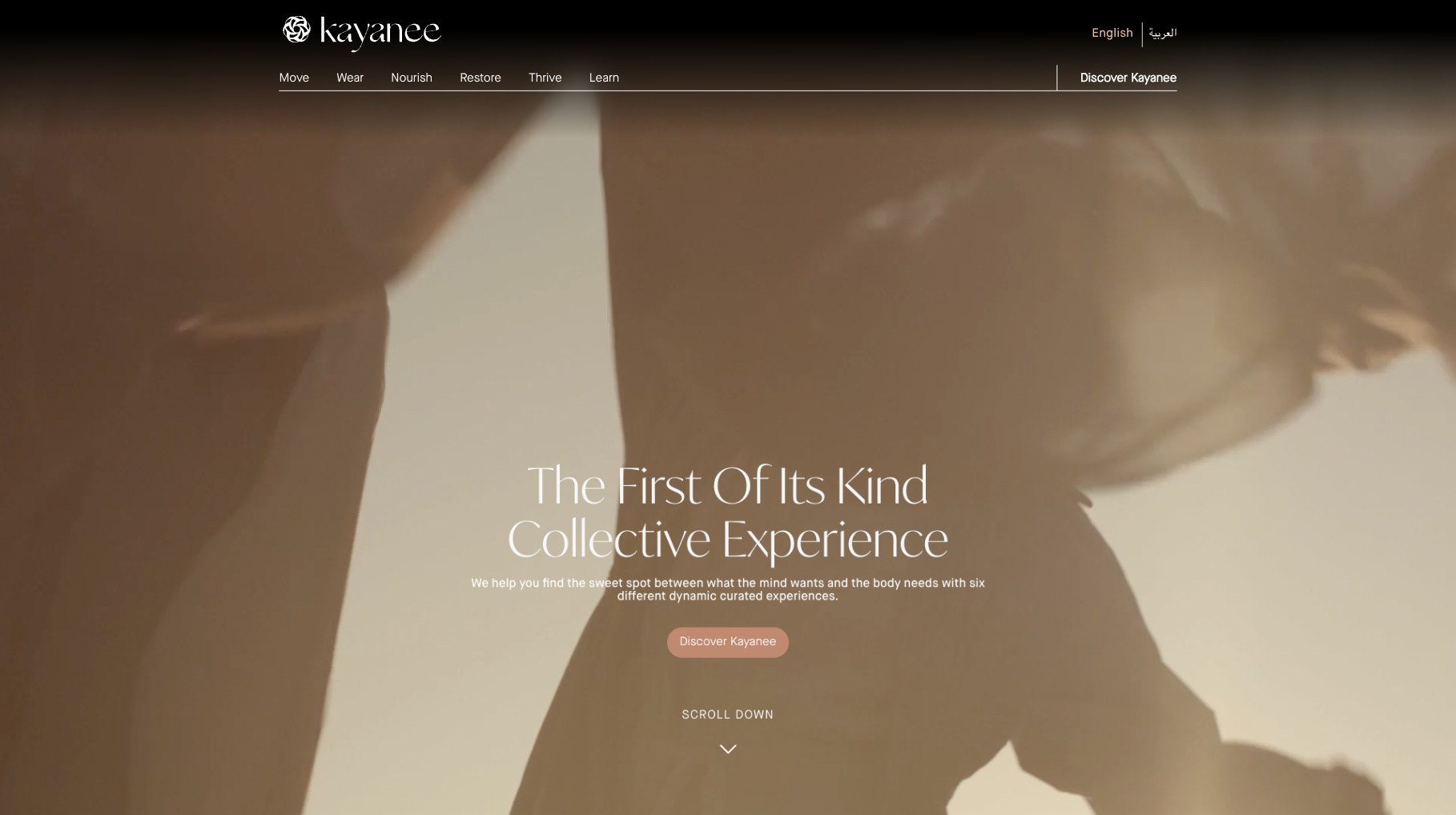 Kayanee website: home